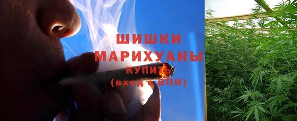 стаф Белоозёрский