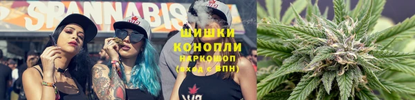 бошки Белокуриха