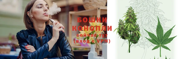 стаф Белоозёрский