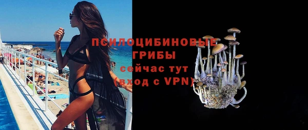 ГАЛЛЮЦИНОГЕННЫЕ ГРИБЫ Беломорск