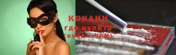 бошки Белокуриха