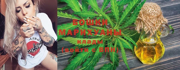 бошки Белокуриха