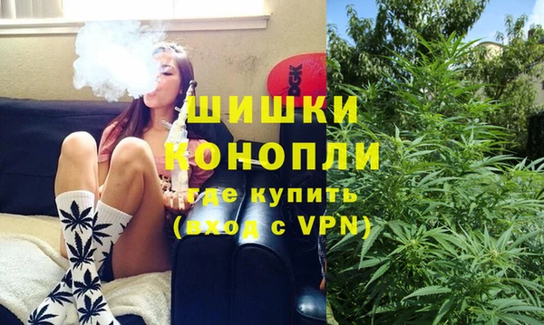 ГАЛЛЮЦИНОГЕННЫЕ ГРИБЫ Беломорск