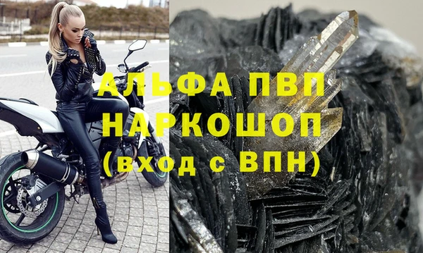 стаф Белоозёрский