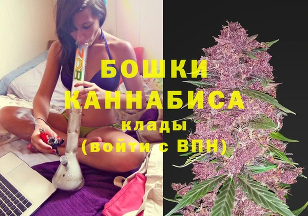 бошки Белокуриха